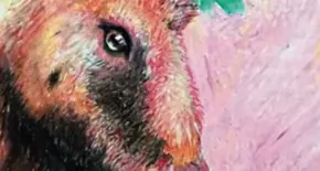 Ausstellung: wild!emotions